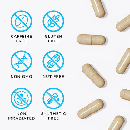 Mind Lab Pro® MLP® v4 Universal Nootropic™ Brain Booster Supplement for Focus, Memory, Clarity, Energy - 60-Count - Plant-Based, Naturally Sourced Memory Vitamins for Better Brain Health, Made in USA